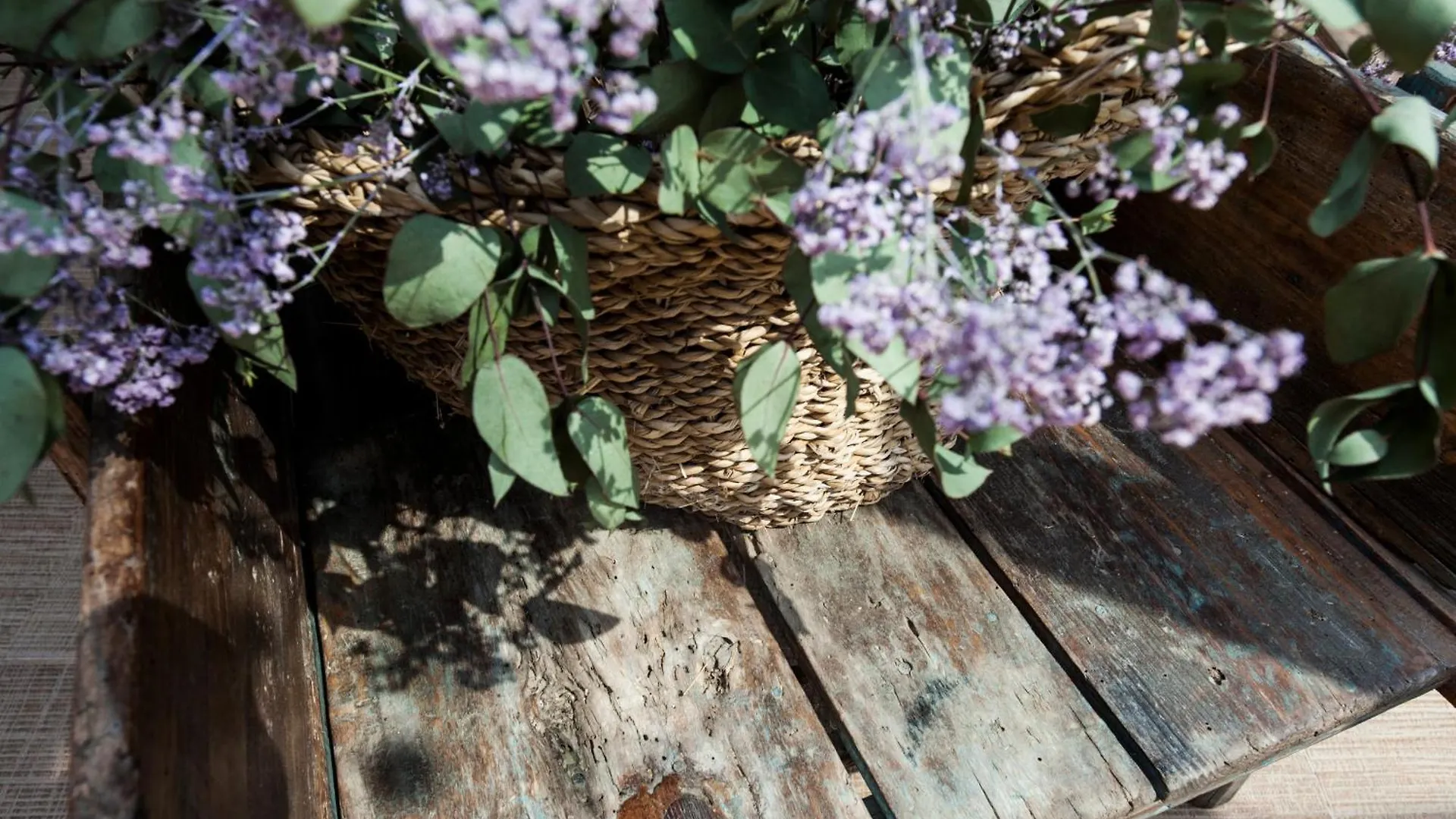 Hotel Suites Natura Mas Tapiolas Santa Cristina d'Aro
